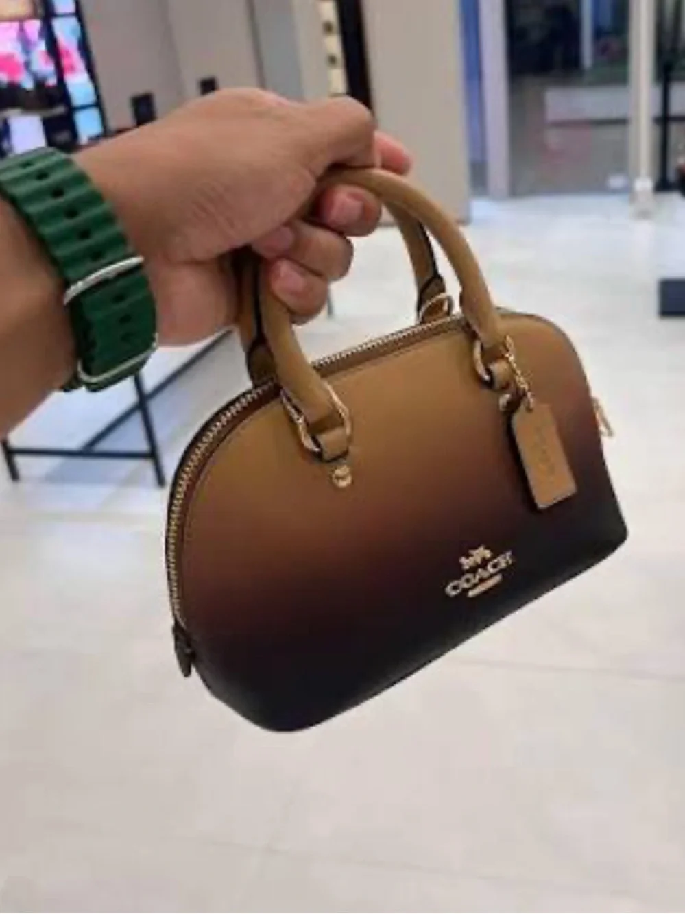 Coach Brown Ombre Mini Satchel